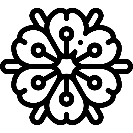 Spider flower blossom spider icon