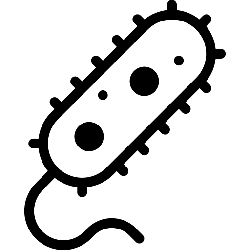 Bacteria infection cell bacteria icon