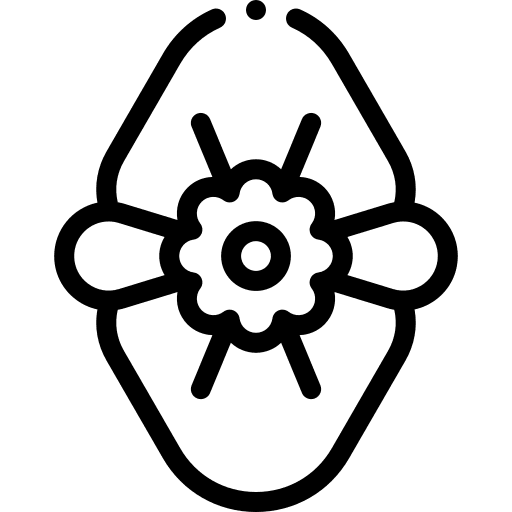 Begonia botanical begonia nature icon