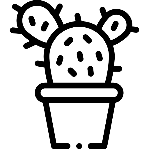 Cactus decoration garden cactus icon