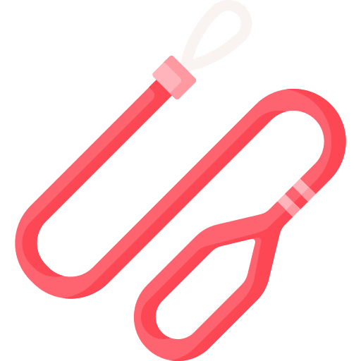 Leash pet collar animals leash icon