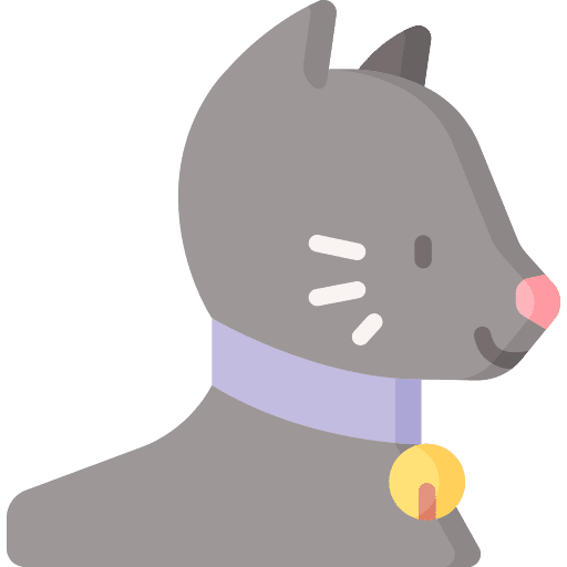 Cat animals pets animal kingdom icon