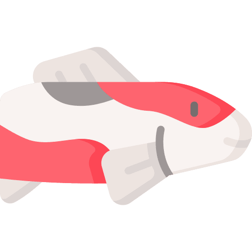 Fish animal kingdom fauna zoology icon