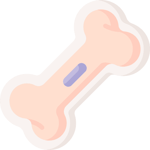Bone toy bone pet icon