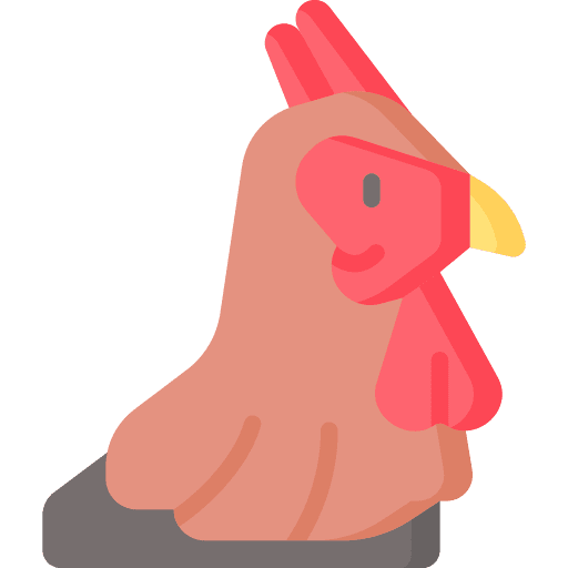 Chicken fauna farm animal kingdom icon