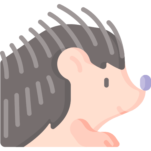 Hedgehog animals pets fauna icon