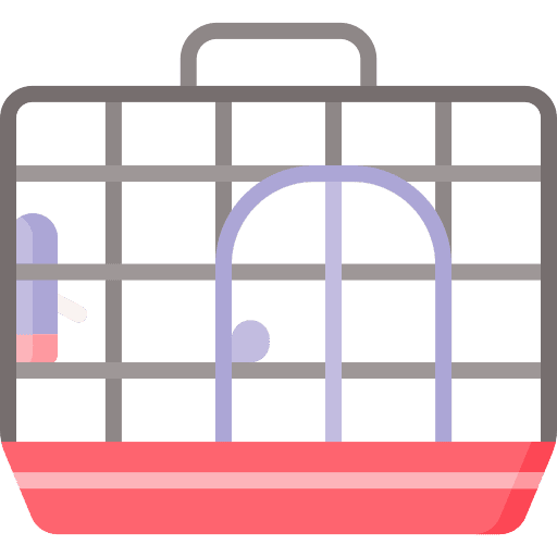 Cage bird cage bird cage icon