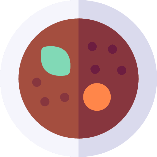 Szechuan asian soup szechuan icon