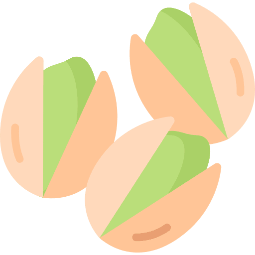 Pistachio snack cashew seed icon