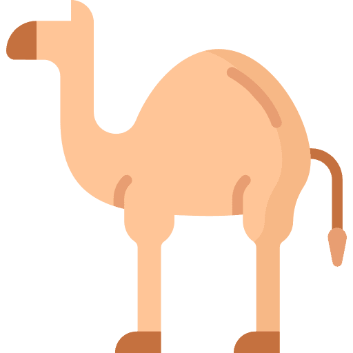 Camel zoo animal kingdom wild life icon