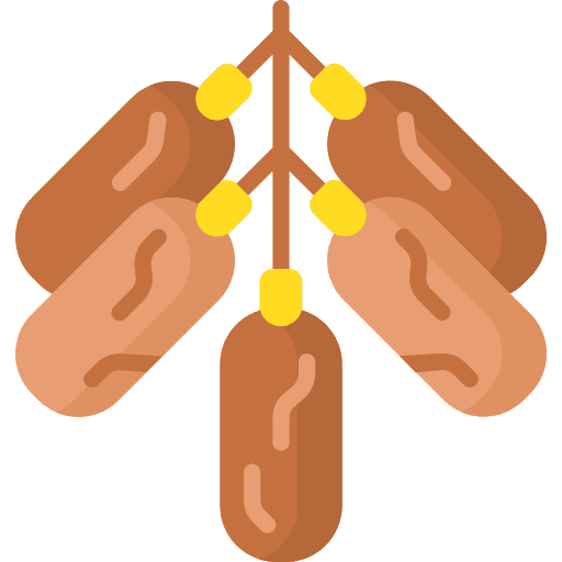 Dates diet food organic icon