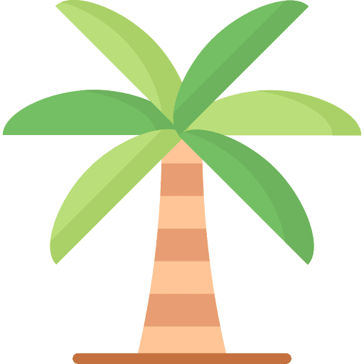 Palm tree palm tree palm nature icon