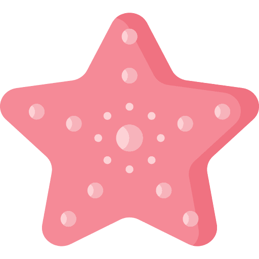 Starfish invertebrate animals sea life icon