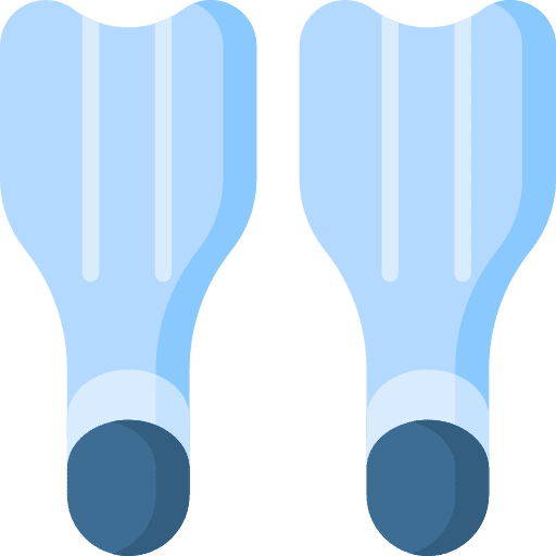 Fins swim sports and competition sport equipment icon