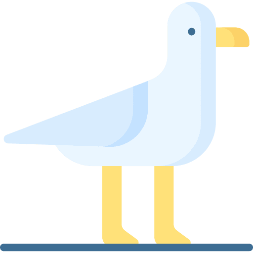 Seagull wildlife wing fauna icon