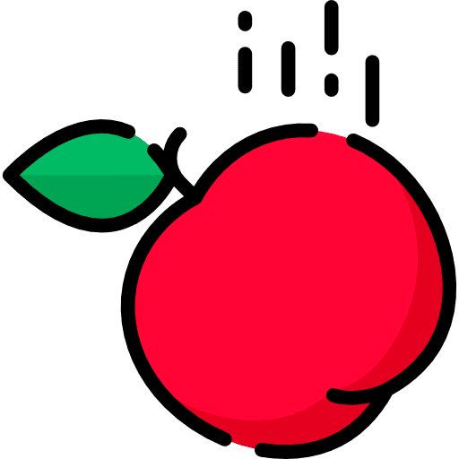 Apple healthy food organic vegan icon