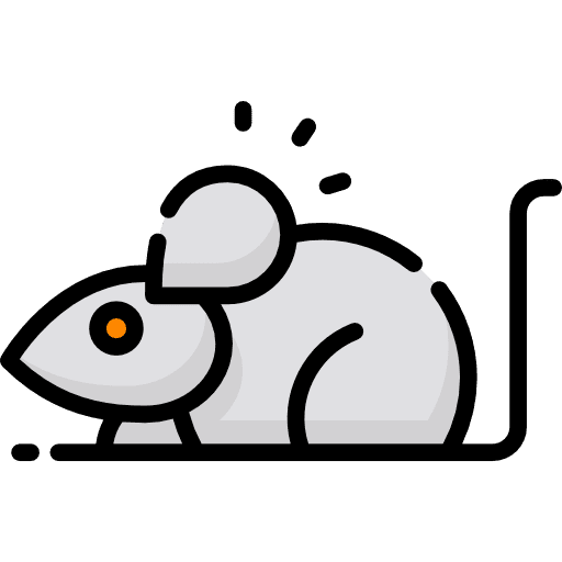 Mouse zoo mouse animal kingdom icon