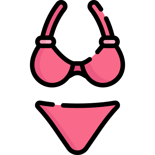 Bikini clothing femenine clothes icon