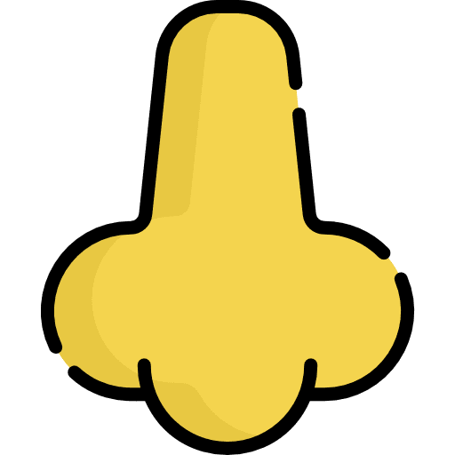 Nose healthcare and medical body parts nose icon