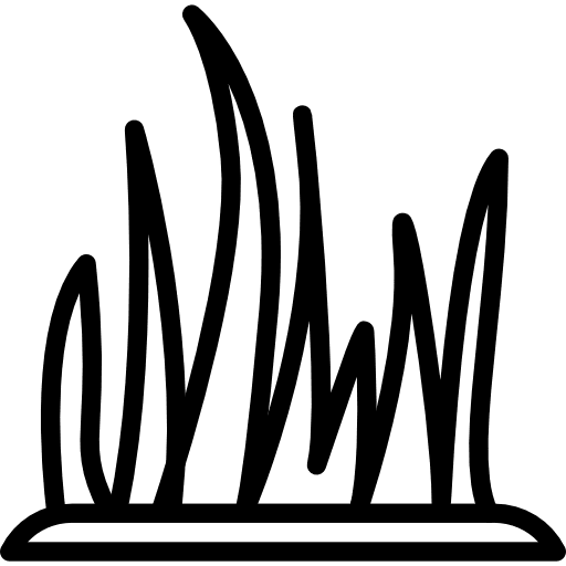 Grass grass leaves grass soil icon