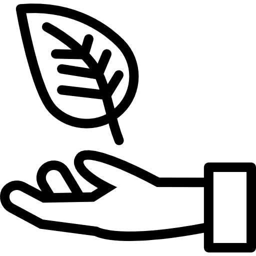 Leaf nature ecological maturity icon