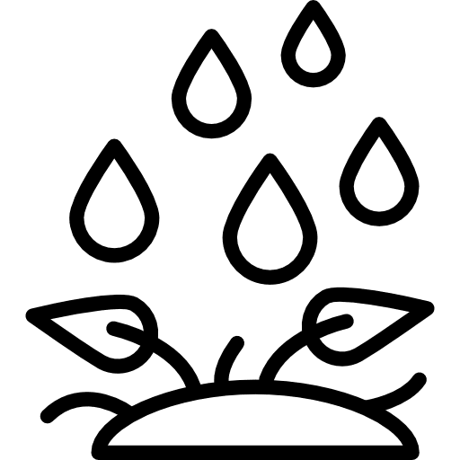 Rain rainy watering storm icon
