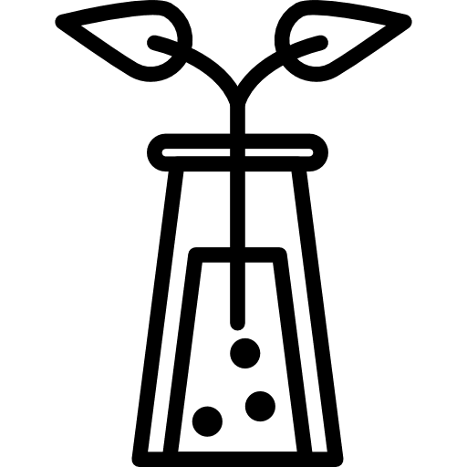 Sprout gardening growing seed sprout icon