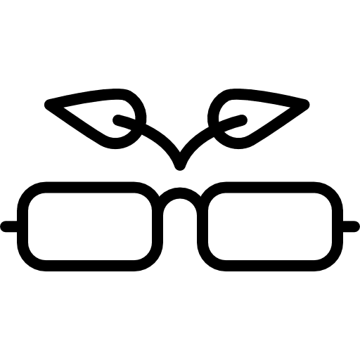 Eyeglasses miscellaneous eyeglasses vision icon