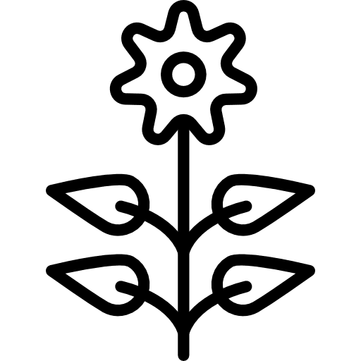 Flower flower blossom nature icon