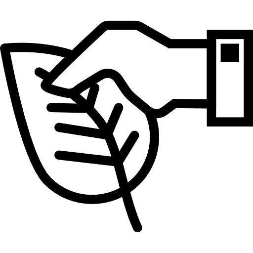 Leaf botanical garden nature icon