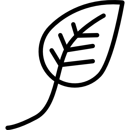 Leaf botanical holidays plant icon