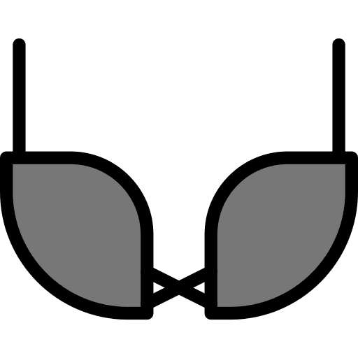 Bra brassiere clothing fashion icon