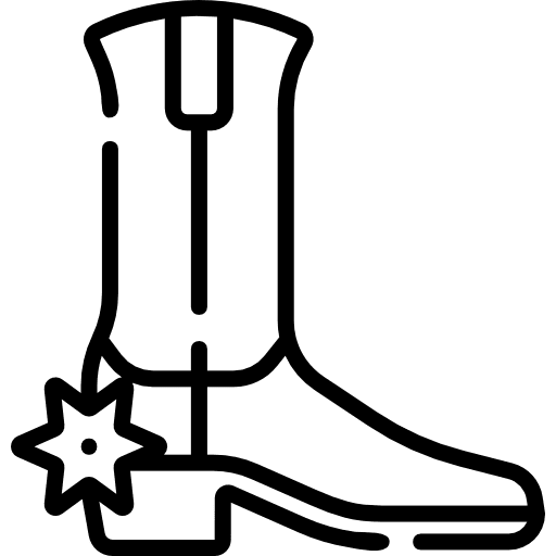 Boot fashion western footwear icon