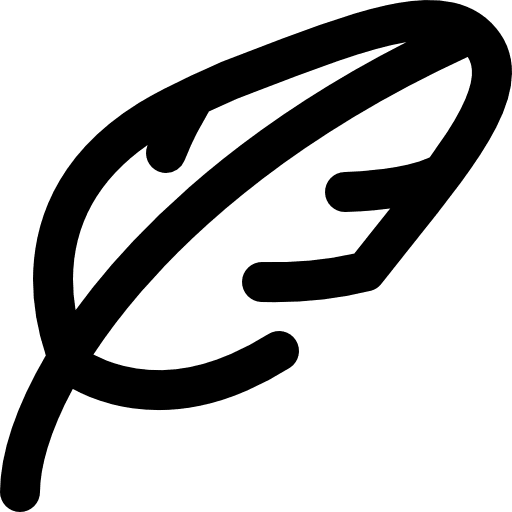 Feather feather lightweight bird icon