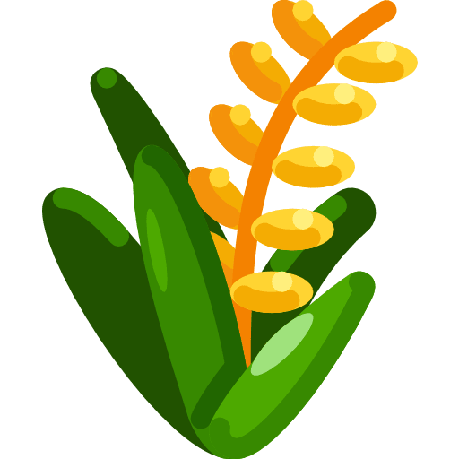 Rice cereal grains food and restaurant icon