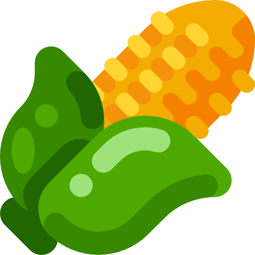 Corn vegan cereal organic icon