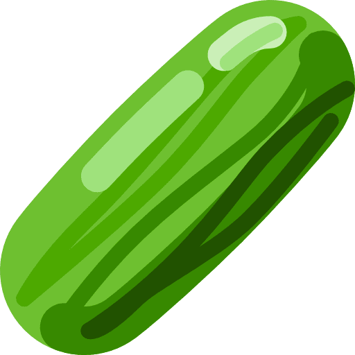 Cucumber vegetarian food diet icon