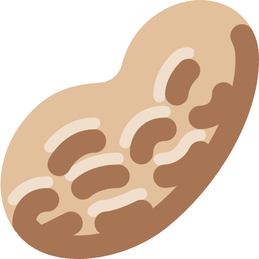 Peanut nut peanut food and restaurant icon