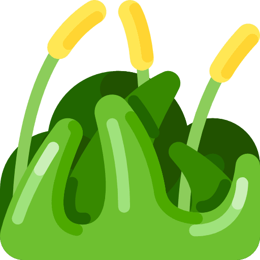 Grass grass soil grass leaves icon