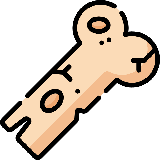 Bone miscellaneous investigation ground icon