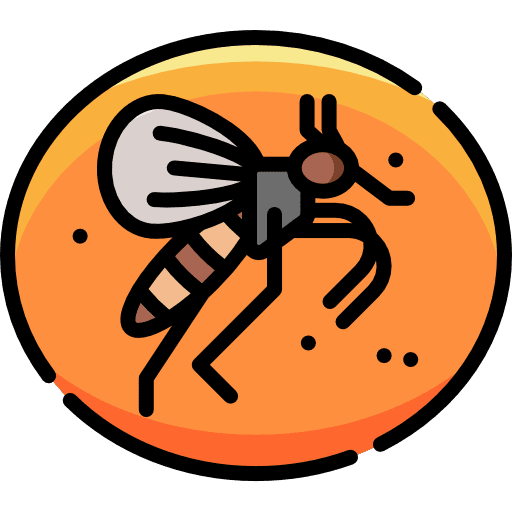 Fossil insect animals dried insect in amber icon