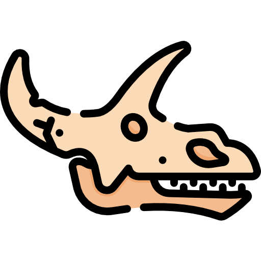 Fossil fossil animals dinosaur icon