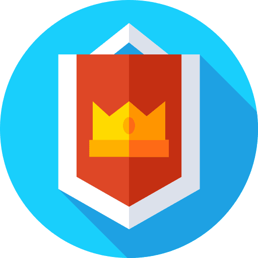 Standard standard flags sports and competition icon