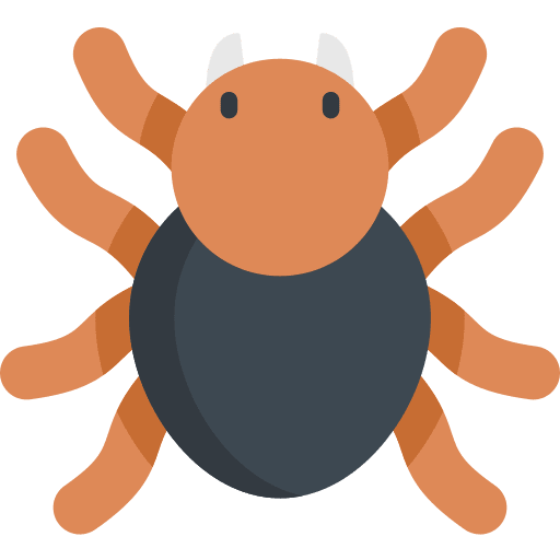 Tarantula insects entomology tarantula icon