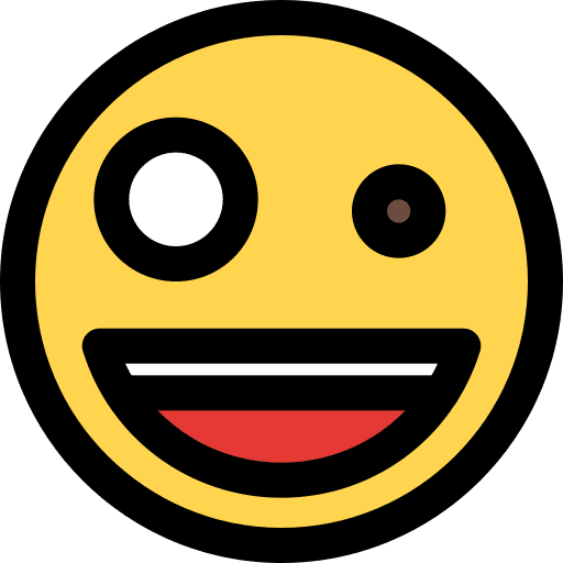 Zany smileys feelings smiley icon