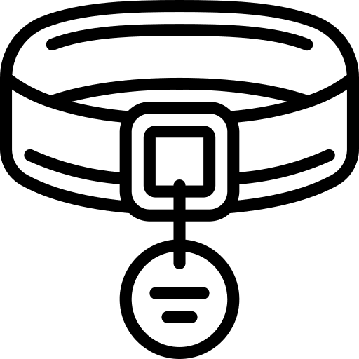 Pets pets pet collar leash icon