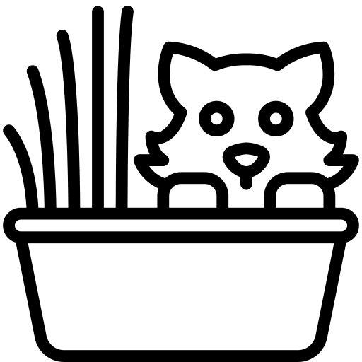 Cat ecology cat cats icon