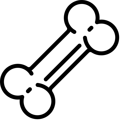 Dog dog toy pet icon