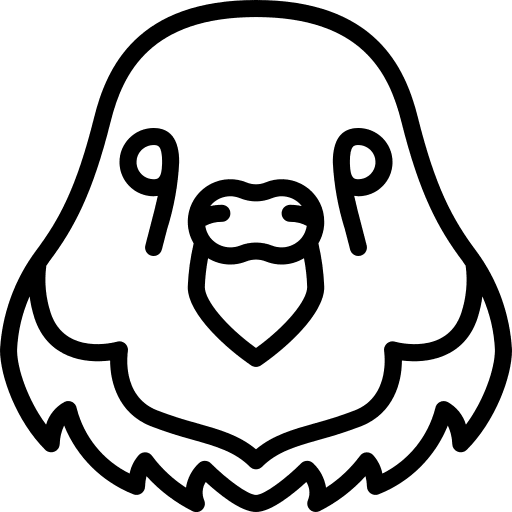 Bird brazil pets parakeet icon