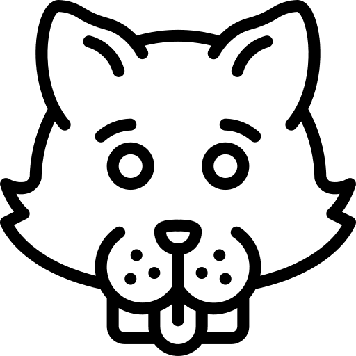 Kitten animals pet kitten icon